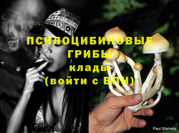 синтетический гашиш Балахна